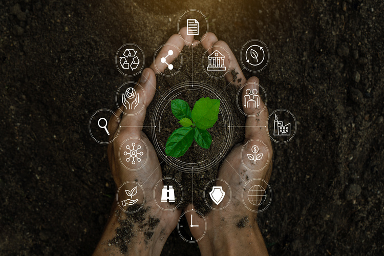 Biodiversity in Agri-Food Systems
and the Role of Accounting
for Biodiversity 