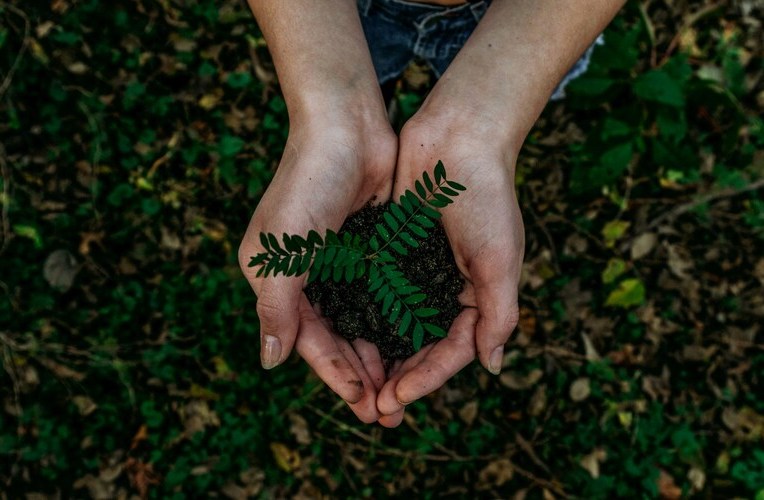 Idea of green growth losing traction among climate policy researchers, survey of nearly 800 academics reveals
 