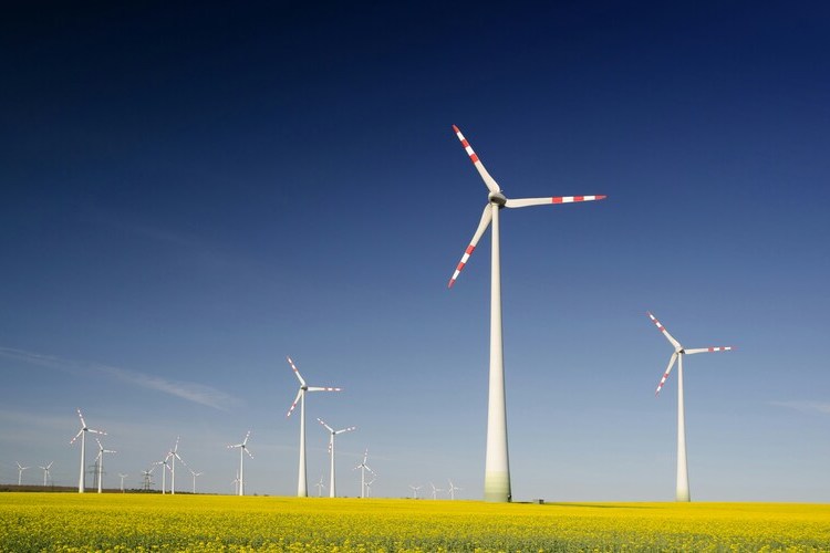 Regular Research Seminars in Sustainability
