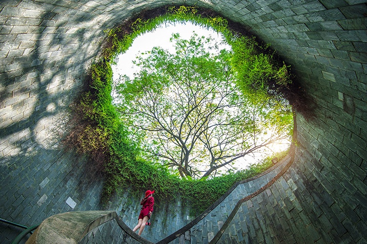 Sustainable ESCP 