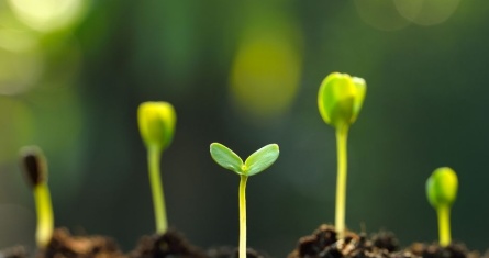 ESCP Green Hackathon: shaping a more Sustainable Future 