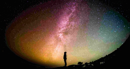 searchingformeaninfulness