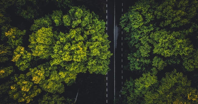 Sustainability