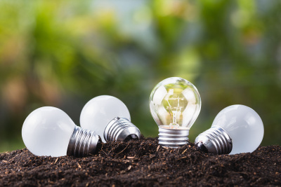 Sustainability at Universities: Walking the Talk and Leading by Example