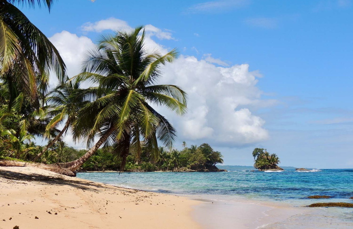 The end of the old beginnings: drawing authentic paradises