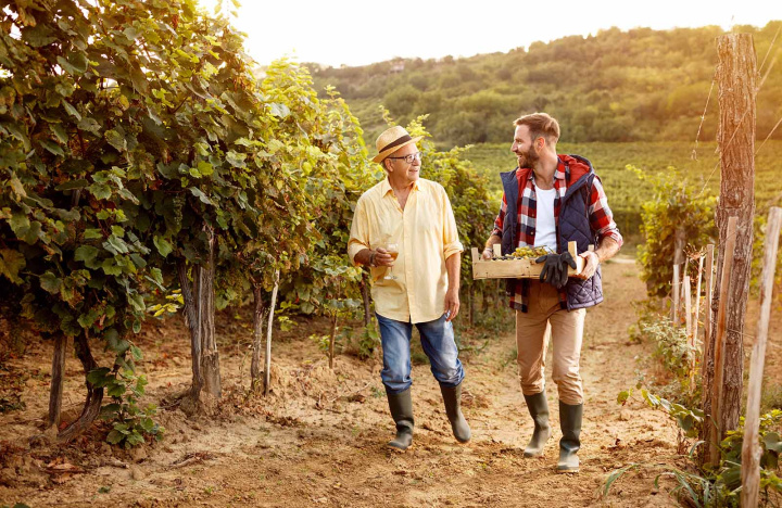 How can family business drive the post-Covid recovery?