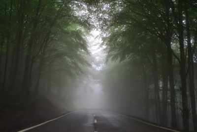 Making decisions in times of uncertainty