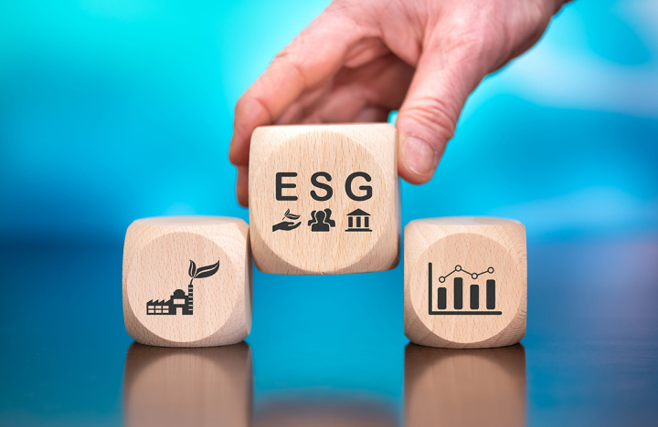 “The case of Danone does not show that ESG and profitability concerns are incompatible”