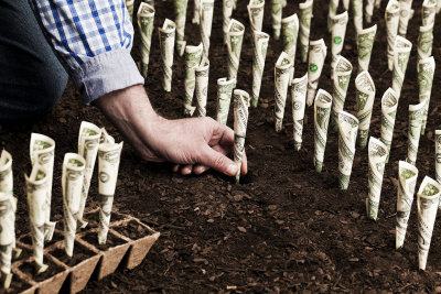 How can green finance respond to the climate emergency?
