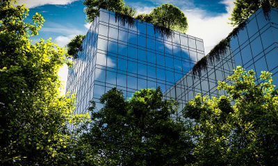 How to make your business thrive by doing good