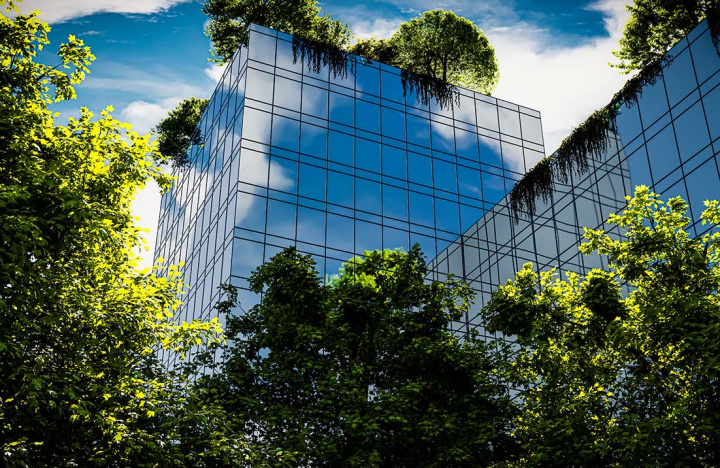 How to make your business thrive by doing good
