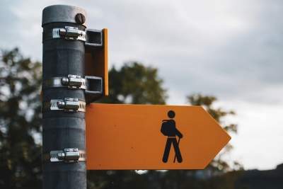 How to lead a purpose-driven company