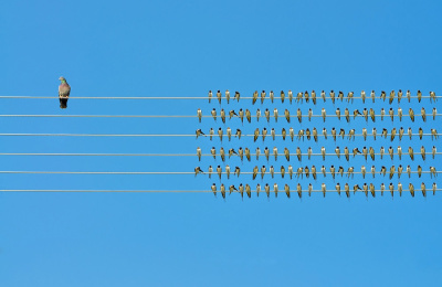 “Be yourself – everyone else is already taken”: Finding your personal brand online (and offline)