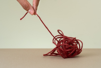 Fact or Fiction: “Every business needs a data scientist.”