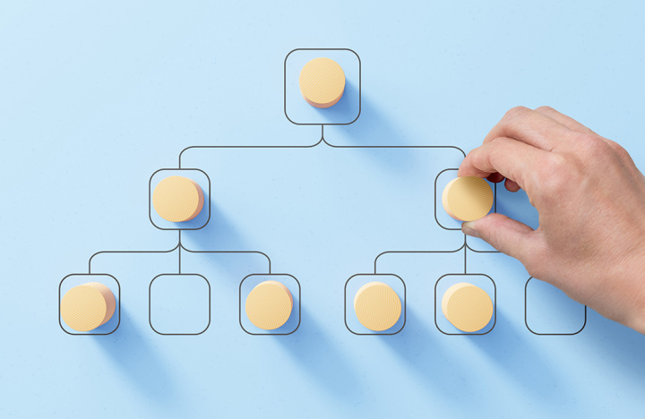 Challenging hierarchy