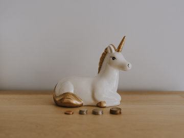 Is it a unicorn or a donkey with a party hat?