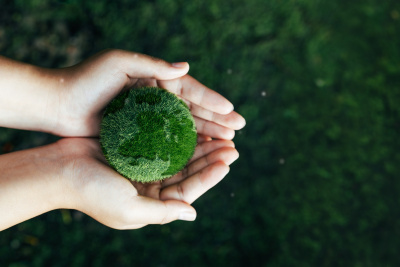 Beyond the CSR office: the employees quietly reshaping corporate climate action