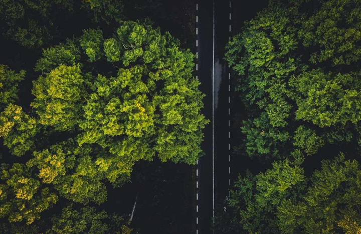 Adapting to climate change, without giving up on cutting emissions