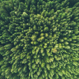 john-o-nolan-umwprcrsrto-unsplash
