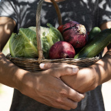 nito-adobestock-food-basket